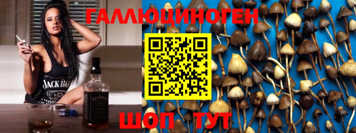 Галлюциногенные грибы Psilocybine cubensis  Вход с VPN  Нефтекамск 