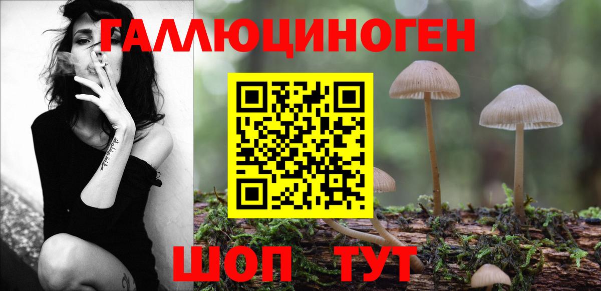 Галлюциногенные грибы Psilocybine cubensis Нефтекамск